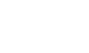 light logo